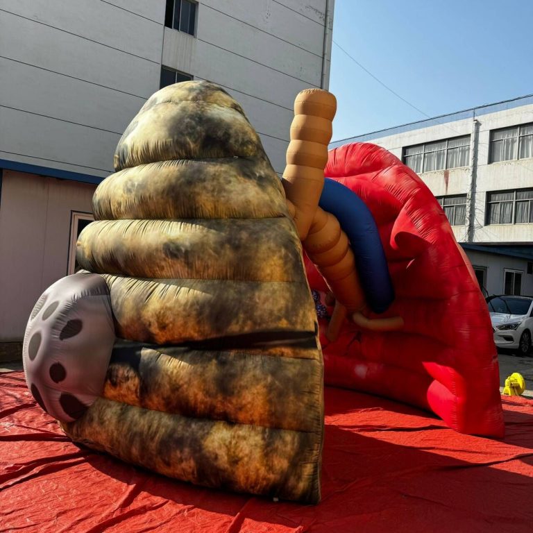 inflatable human body for education inflatable human lungs replicas