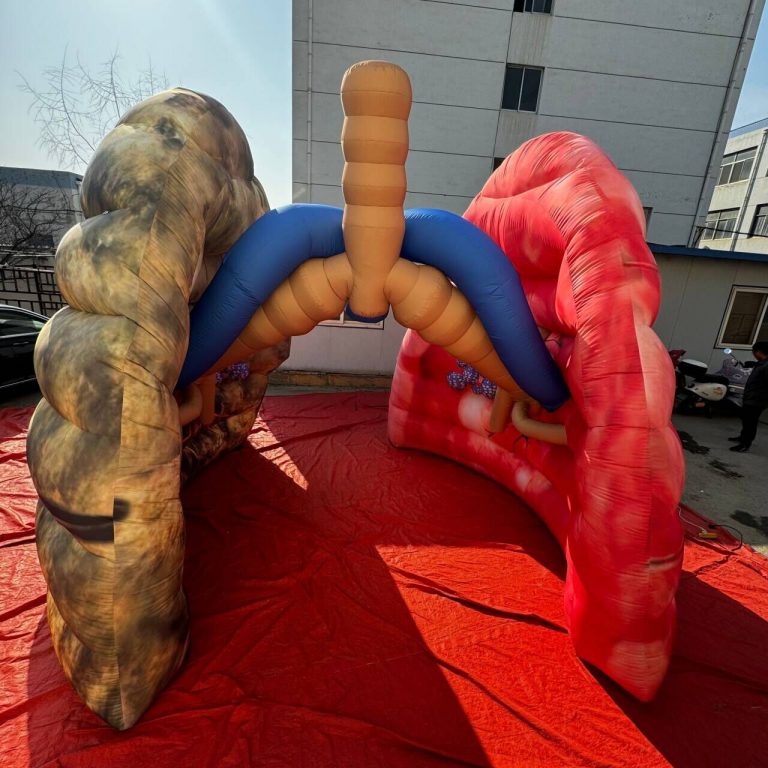 inflatable lungs (6)
