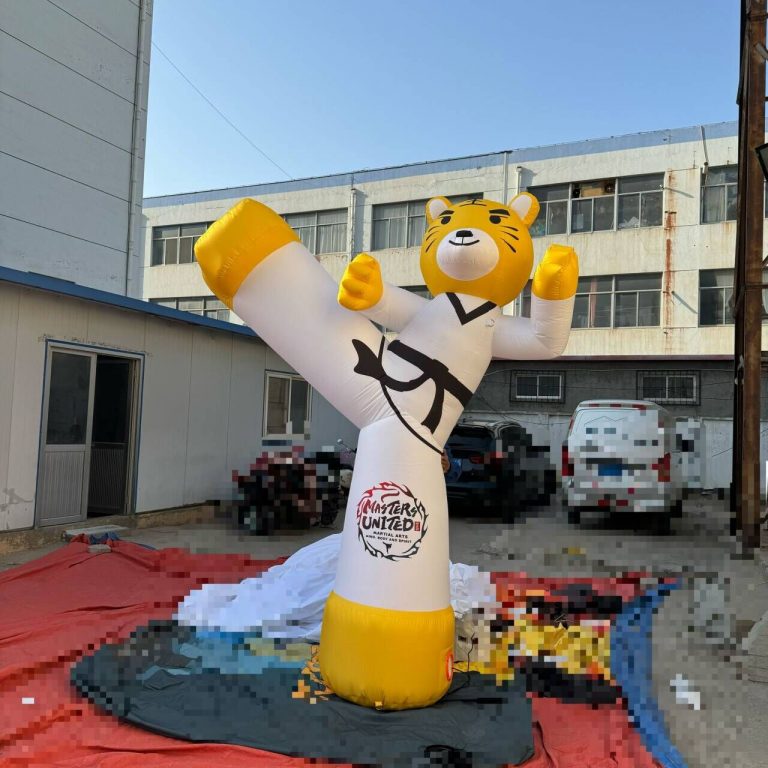 inflatable taekwondo (3)