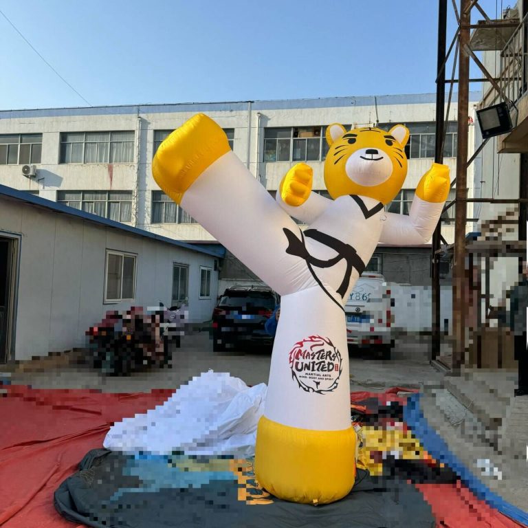 inflatable taekwondo (4)