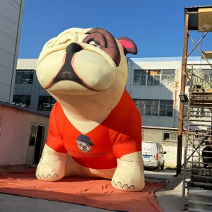 inflatable cartoon