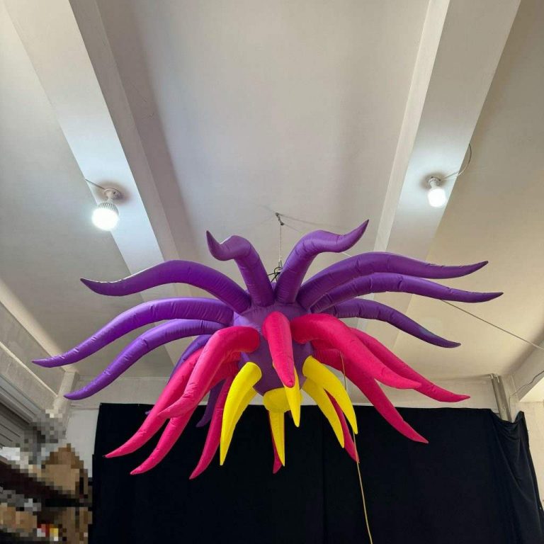 Step Inside the Inflatable Club