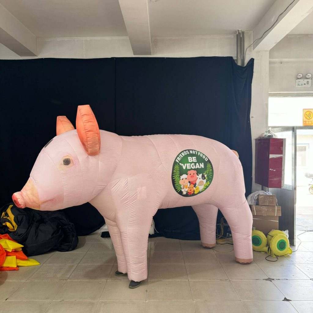 inflatable pig costume