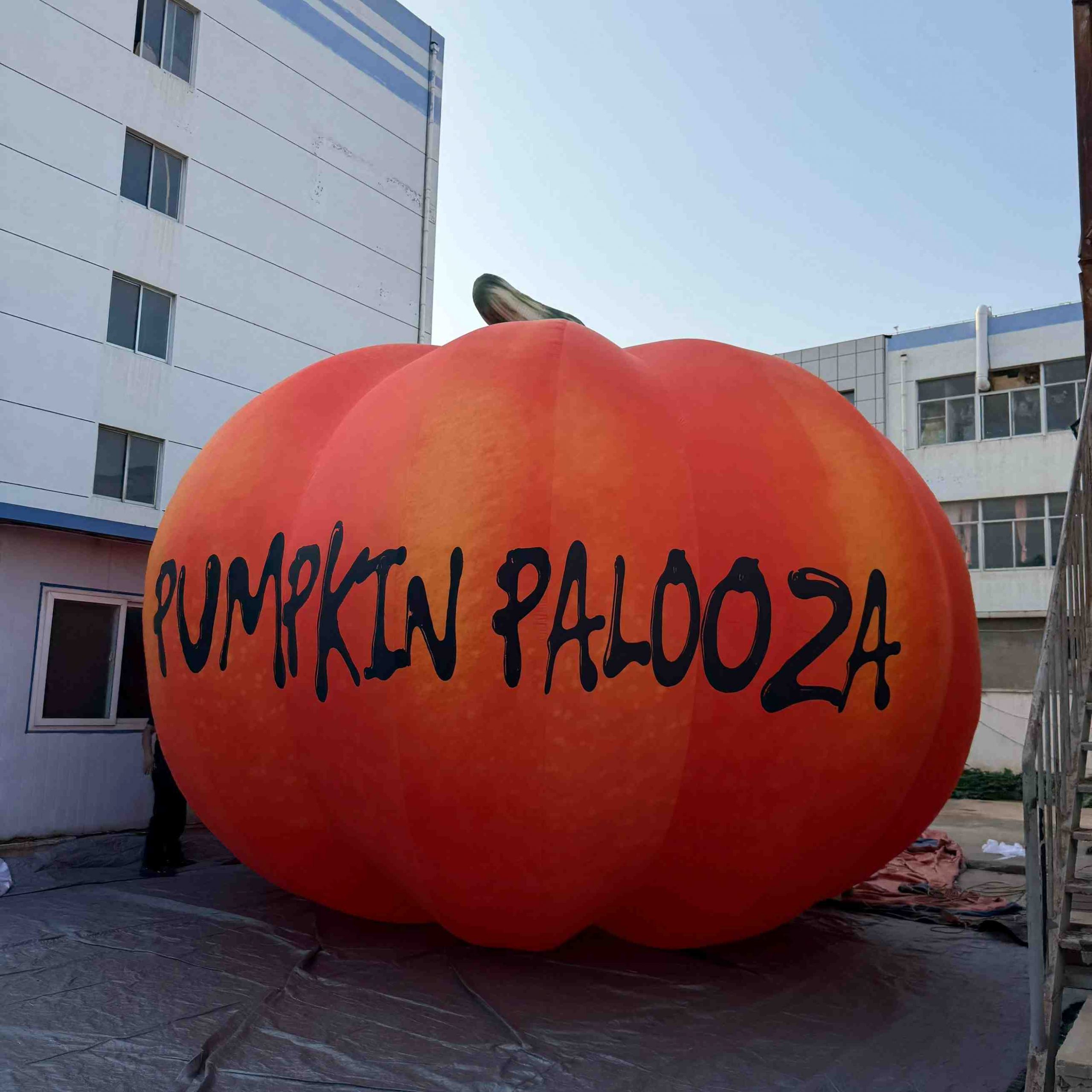 5m pumpkin (3)